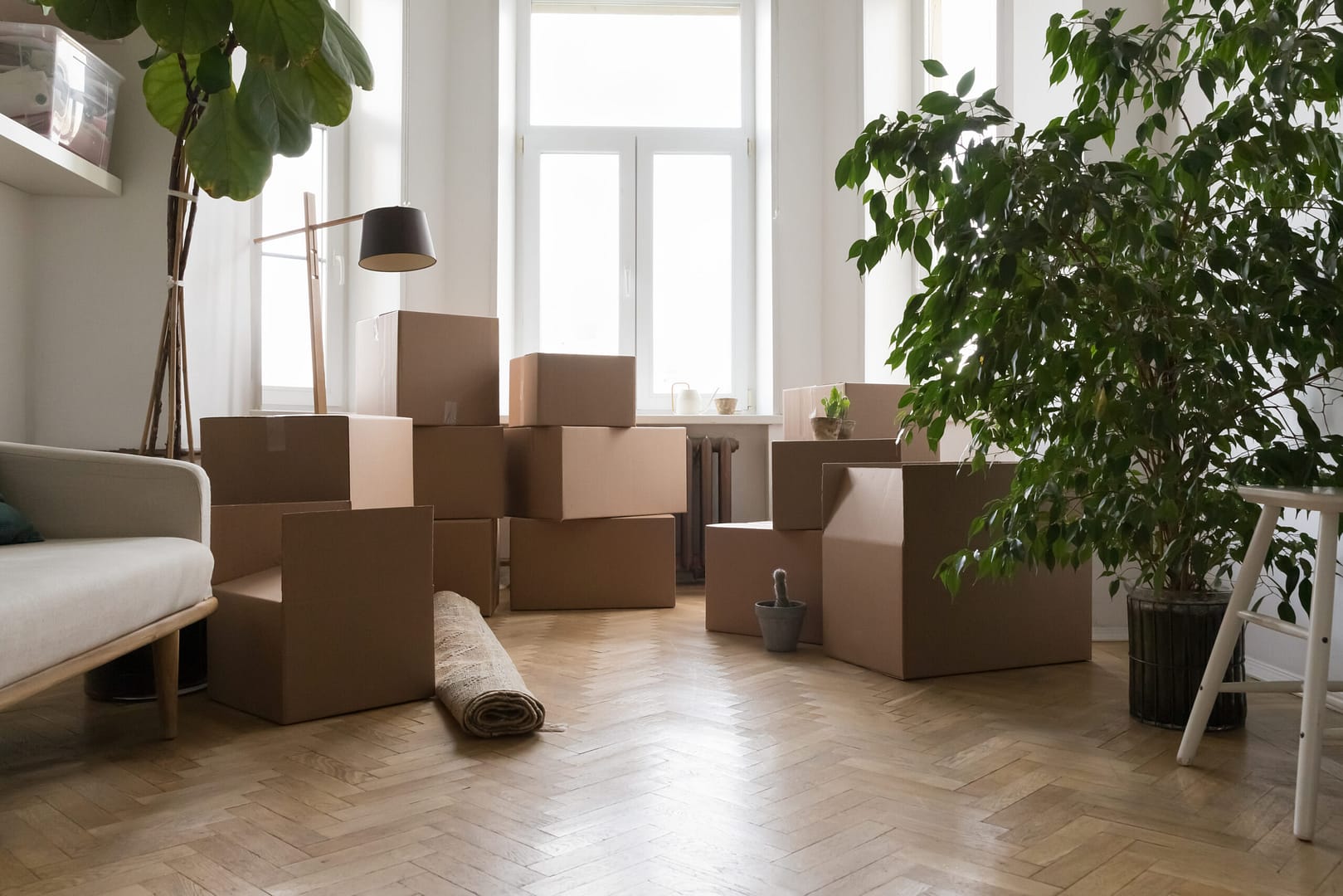 Empty Living Room With Cardboard Boxes On Relocation Day