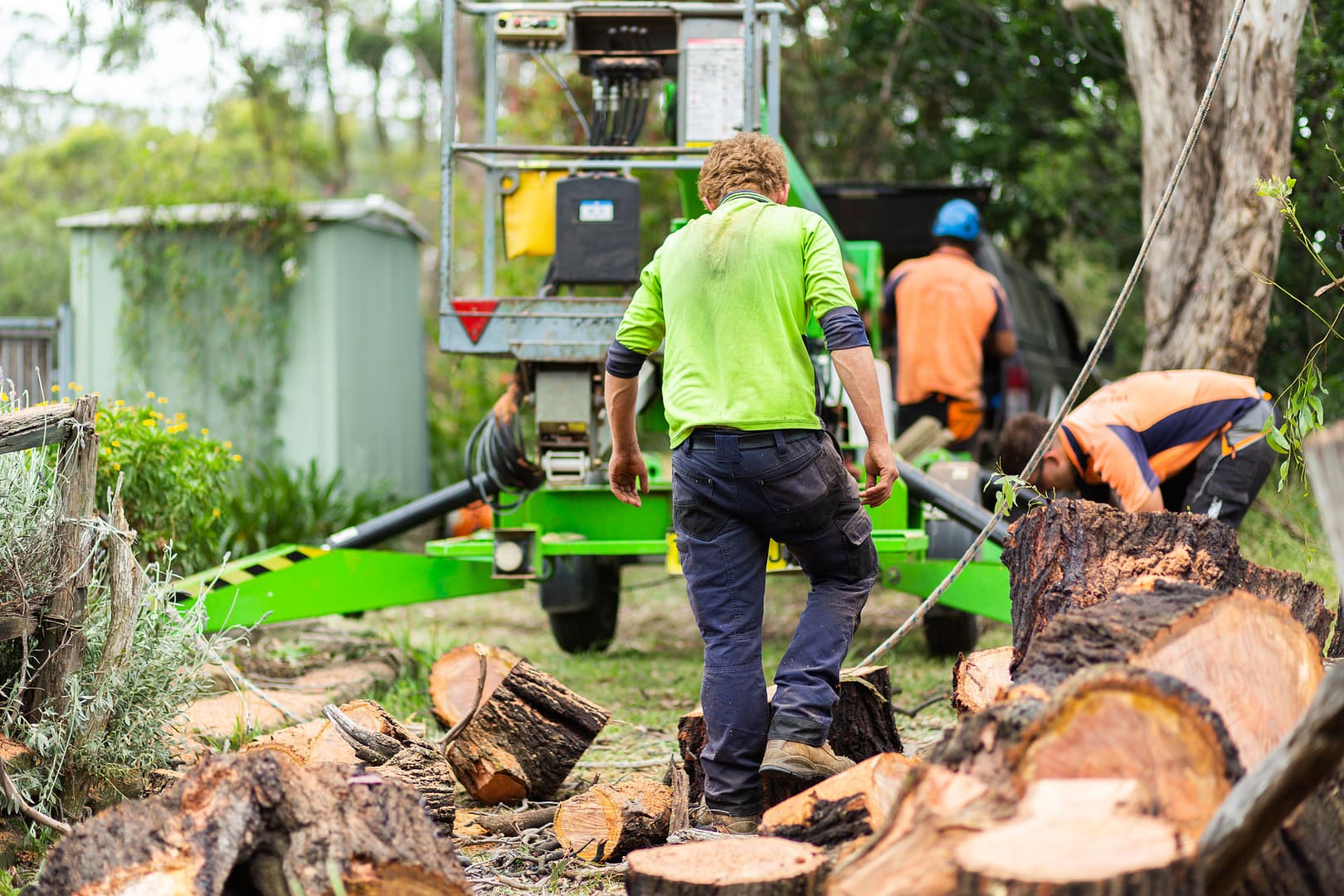 Piles Of Wood From Iron Bark Gum Tree That Lumberjacks Removed From Beside Property Fence